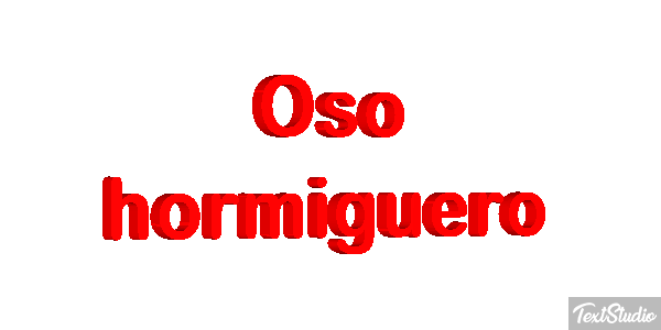 Oso hormiguero Metin efekti