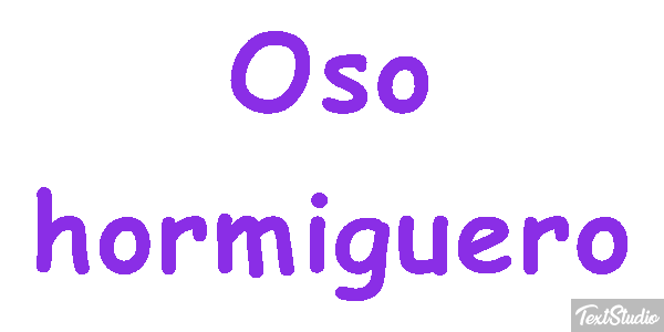 Oso hormiguero Metin efekti