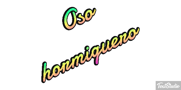 Oso hormiguero Metin efekti