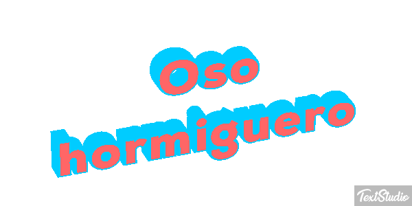 Oso hormiguero Metin efekti