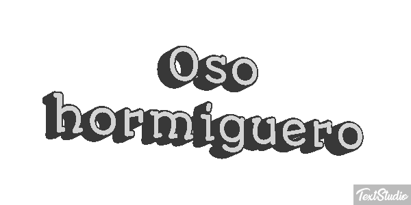 Oso hormiguero Metin efekti