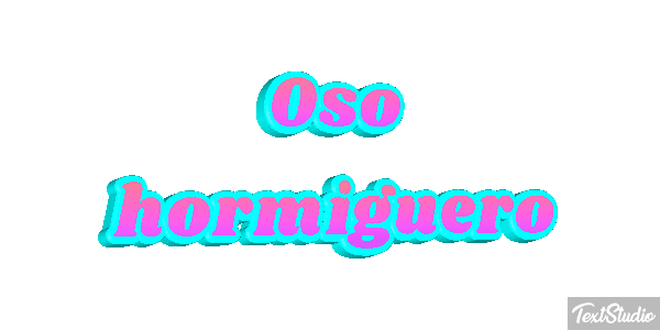 Oso hormiguero Metin efekti