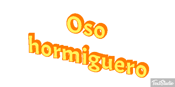 Oso hormiguero Metin efekti