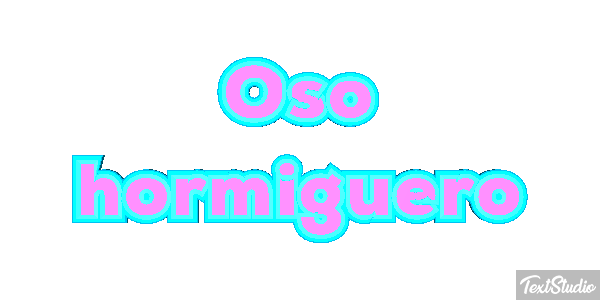 Oso hormiguero Metin efekti