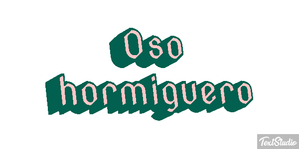 Oso hormiguero Metin efekti