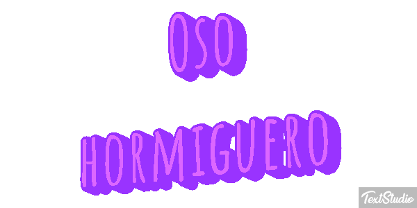Oso hormiguero Metin efekti