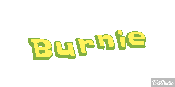 Burnie Text effect
