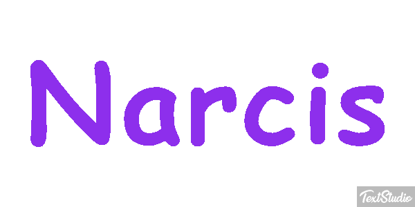 Narcis Effet de texte