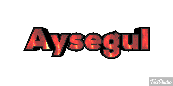 Ayşegül Effetto testo