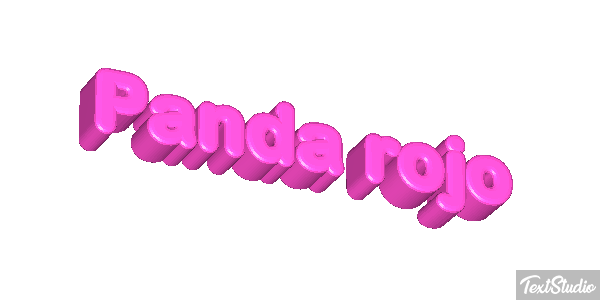 Panda rojo Efecto de texto