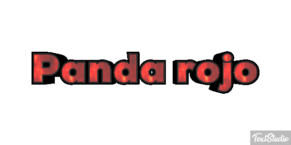 Panda rojo Efecto de texto