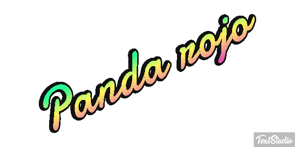 Panda rojo Efecto de texto