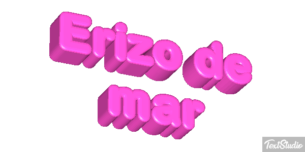 Erizo de mar Texteffekt