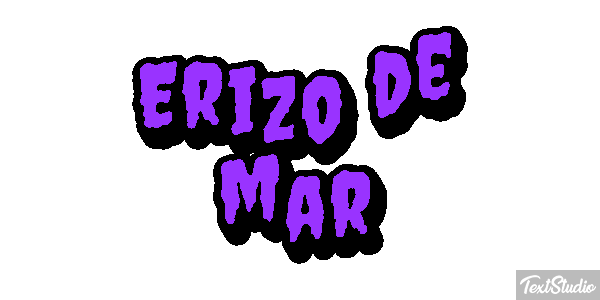 Erizo de mar Texteffekt