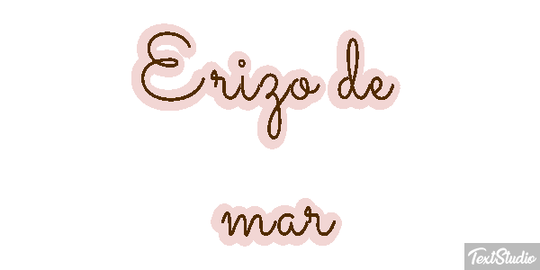 Erizo de mar Texteffekt
