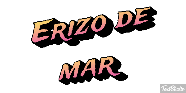 Erizo de mar Texteffekt