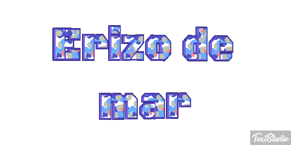 Erizo de mar Texteffekt