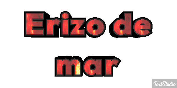 Erizo de mar Texteffekt