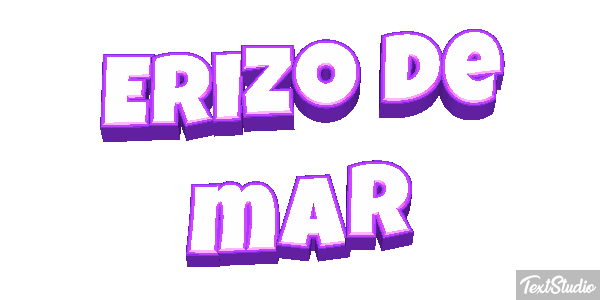 Erizo de mar Texteffekt