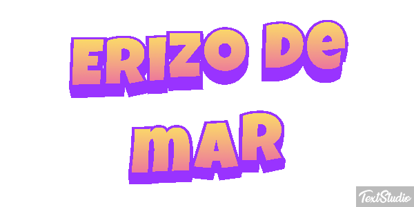 Erizo de mar Texteffekt