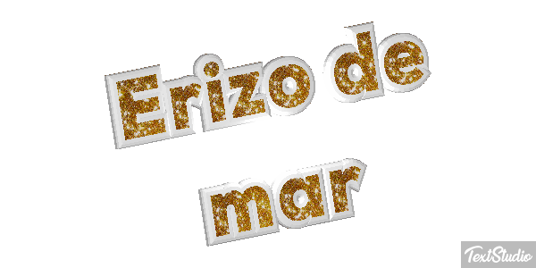 Erizo de mar Texteffekt