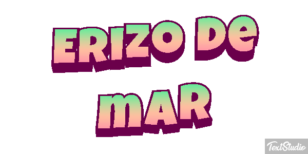 Erizo de mar Texteffekt