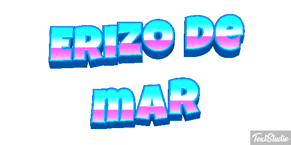 Erizo de mar Texteffekt