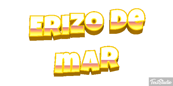 Erizo de mar Texteffekt