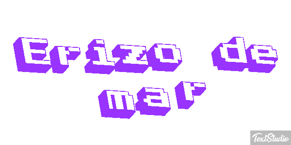 Erizo de mar Texteffekt