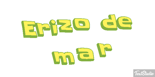 Erizo de mar Texteffekt