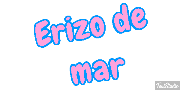 Erizo de mar Texteffekt