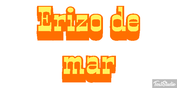 Erizo de mar Texteffekt