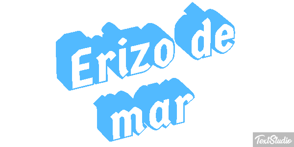 Erizo de mar Texteffekt