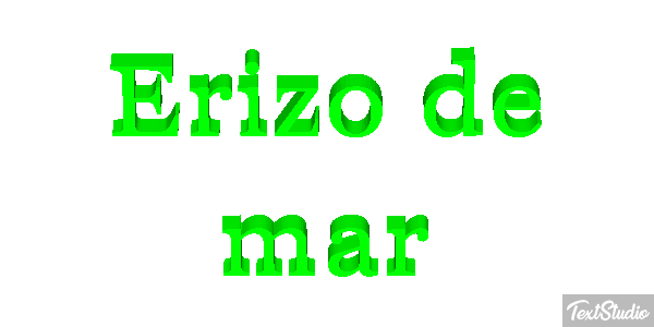 Erizo de mar Texteffekt