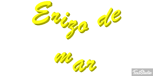 Erizo de mar Texteffekt