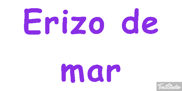 Erizo de mar Texteffekt