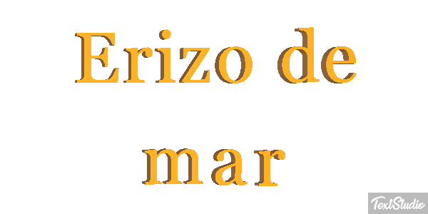 Erizo de mar Texteffekt