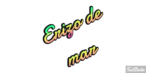Erizo de mar Texteffekt