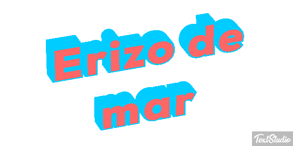 Erizo de mar Texteffekt