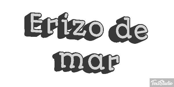 Erizo de mar Texteffekt
