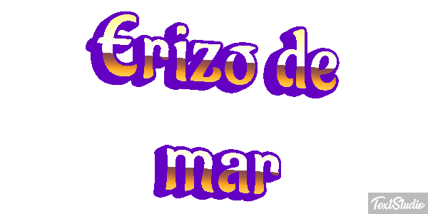 Erizo de mar Texteffekt