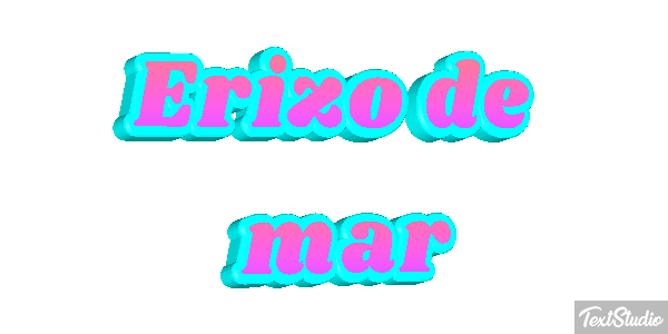 Erizo de mar Texteffekt