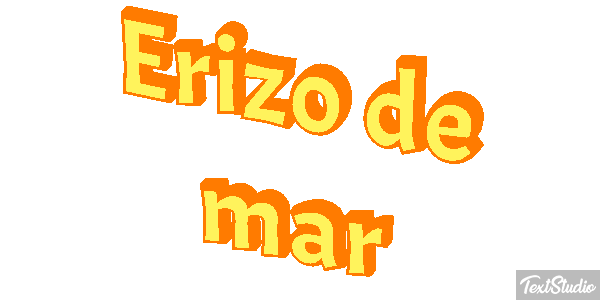 Erizo de mar Texteffekt