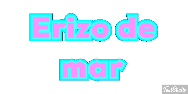Erizo de mar Texteffekt