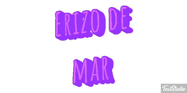 Erizo de mar Texteffekt