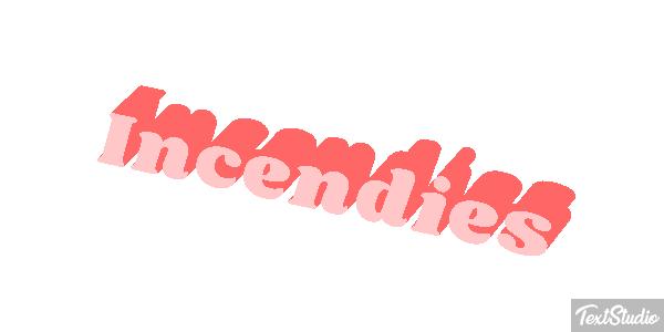 Incendies Tekst effect