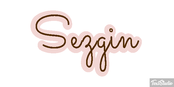 Sezgin Efeito do texto