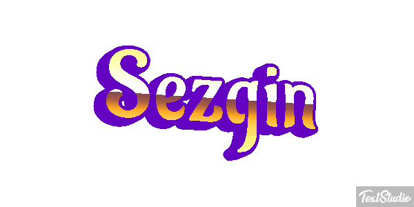 Sezgin Efeito do texto