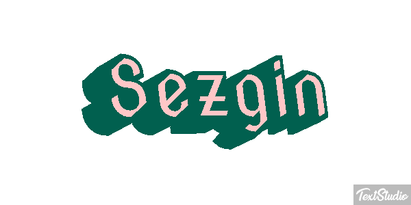 Sezgin Efeito do texto