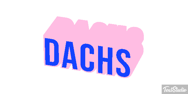 Dachs Texteffekt